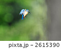 ホバリングするカワセミ