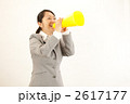2617177