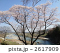2617909