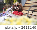 2618140