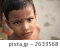 2633568