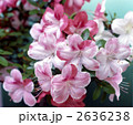 63545