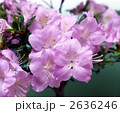 63547