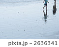 2636341