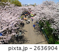 桜之宮公園の桜並木