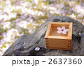桜酒と桜