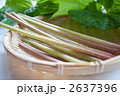 蕗