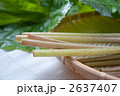 蕗