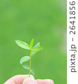 2641856