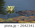 2642341