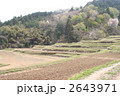 佐用の棚田