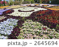 動物の顔をした花壇
