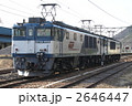 2646447