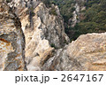 六甲山系・馬の背
