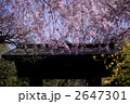 2647301