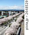 十和田官庁街の桜