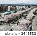 十和田官庁街の桜