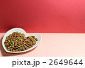 キャットフード