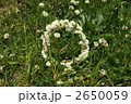 陽だまり