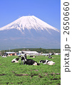 乳牛と富士山-9212