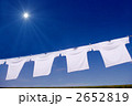 Ｔシャツ