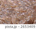 生しらす