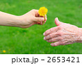 シニアと若い手　たんぽぽ