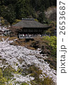 桜の清水寺