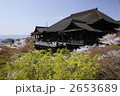 桜の清水寺