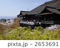桜の清水寺