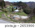 八坂の棚田