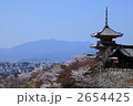 桜の清水寺