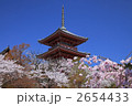 桜の清水寺