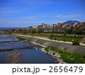京都 春の鴨川