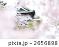 桜物語