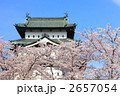 弘前城天守閣と桜