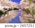 水辺の夜桜 - 弘前公園2011
