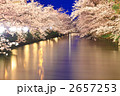 水辺の夜桜 - 弘前公園2011