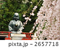 京都　千本釈迦堂　おかめ桜