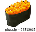 2658905