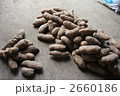 2660186