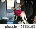 盲導犬