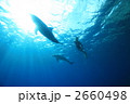 2660498