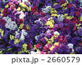 65027
