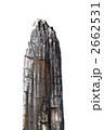 2662531