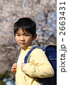 桜の下で 桜の下で