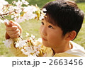桜の下で 桜の下で