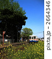 2664346