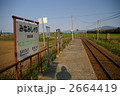 2664419