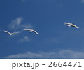 2664471